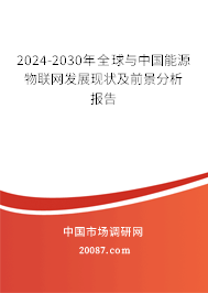 2024-2030年全球与中国能源物联网发展现状及前景分析报告