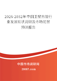 2026-2032年中国卫星热管行业发展现状调研及市场前景预测报告