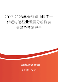 2022-2028年全球与中国下一代锂电池行业发展分析及前景趋势预测报告 2022-2028年全球与中国下一代锂电池行业发展分析及前景趋势预测报告