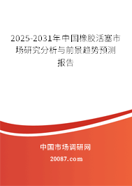 2025-2031年中国橡胶活塞市场研究分析与前景趋势预测报告