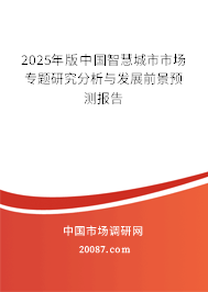 2025年版中国智慧城市市场专题研究分析与发展前景预测报告