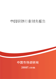 中国钢铁行业财务报告
