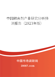 中国耦合剂产业研究分析预测报告（2023年版）