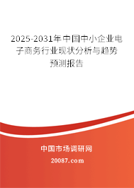 2025-2031年中国中小企业电子商务行业现状分析与趋势预测报告 2025-2031年中国中小企业电子商务行业现状分析与趋势预测报告