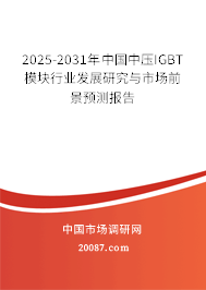 2025-2031年中国中压IGBT模块行业发展研究与市场前景预测报告