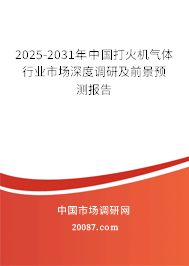 2025-2031年中国打火机气体行业市场深度调研及前景预测报告 2025-2031年中国打火机气体行业市场深度调研及前景预测报告