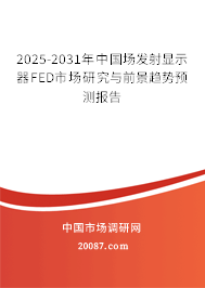 2025-2031年中国场发射显示器FED市场研究与前景趋势预测报告