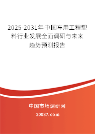 2025-2031年中国车用工程塑料行业发展全面调研与未来趋势预测报告 2025-2031年中国车用工程塑料行业发展全面调研与未来趋势预测报告