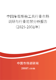 中国车载补胎工具行业市场调研与行业前景分析报告（2025-2031年）