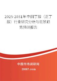 2025-2031年中国丁醇（正丁醇）行业研究分析与前景趋势预测报告