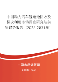 中国动力汽车锂电池回收及梯次利用市场调查研究与前景趋势报告（2025-2031年）