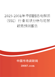 2025-2031年中国固态电解质（SSE）行业现状分析与前景趋势预测报告