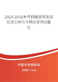 2025-2031年中国蔓越莓发展现状分析与市场前景预测报告