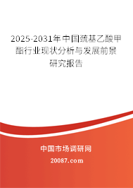2025-2031年中国巯基乙酸甲酯行业现状分析与发展前景研究报告