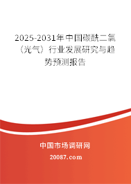 2025-2031年中国碳酰二氯（光气）行业发展研究与趋势预测报告