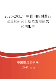 2025-2031年中国网络付费行业现状研究分析及发展趋势预测报告
