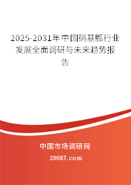2025-2031年中国硝基胍行业发展全面调研与未来趋势报告 2025-2031年中国硝基胍行业发展全面调研与未来趋势报告