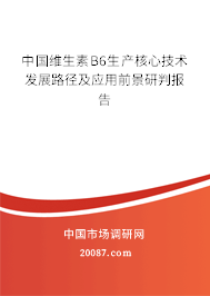 中国维生素B6生产核心技术发展路径及应用前景研判报告