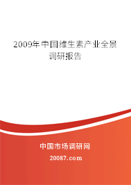 2009年中国维生素产业全景调研报告