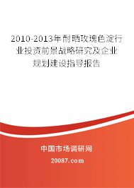 2010-2013年耐晒玫瑰色淀行业投资前景战略研究及企业规划建设指导报告