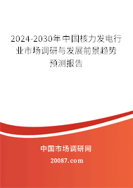 2024-2030年中国核力发电行业市场调研与发展前景趋势预测报告