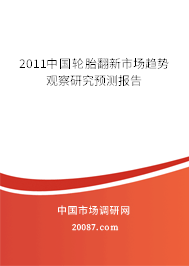 2011中国轮胎翻新市场趋势观察研究预测报告