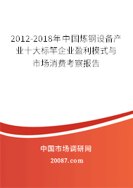 2012-2018年中国炼钢设备产业十大标竿企业盈利模式与市场消费考察报告