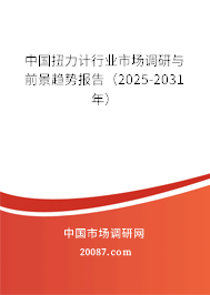 中国扭力计行业市场调研与前景趋势报告（2025-2031年）