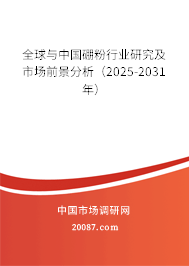 全球与中国硼粉行业研究及市场前景分析（2025-2031年）