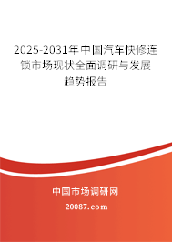 2025-2031年中国汽车快修连锁市场现状全面调研与发展趋势报告
