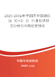2025-2031年中国三甲基硼烷（B（CH3）3）行业现状研究分析与市场前景预测