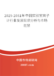 2025-2031年中国实验室离子计行业发展现状分析与市场前景