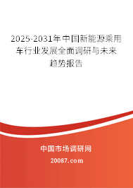 2025-2031年中国新能源乘用车行业发展全面调研与未来趋势报告