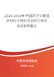 2024-2030年中国质子交换膜原材料市场现状调研分析及发展趋势报告