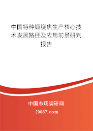 中国特种煅烧焦生产核心技术发展路径及应用前景研判报告