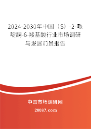 2024-2030年中国（S）-2-哌啶酮-6-羧基酸行业市场调研与发展前景报告