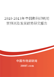 2010-2013年中国数码印刷前景预测及发展趋势研究报告