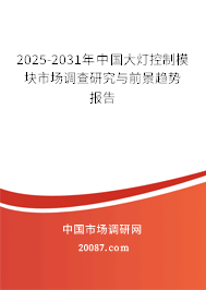 2025-2031年中国大灯控制模块市场调查研究与前景趋势报告 2025-2031年中国大灯控制模块市场调查研究与前景趋势报告