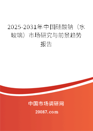 2025-2031年中国硅酸钠（水玻璃）市场研究与前景趋势报告