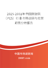 2025-2031年中国聚醚砜（PES）行业市场调研与前景趋势分析报告