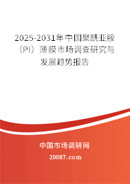 2025-2031年中国聚酰亚胺（PI）薄膜市场调查研究与发展趋势报告