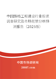 中国路桥工程建设行业现状调查研究及市场前景分析预测报告（2025版）