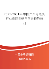 2025-2031年中国汽车电瓶头行业市场调研与前景趋势预测