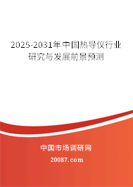 2025-2031年中国热导仪行业研究与发展前景预测