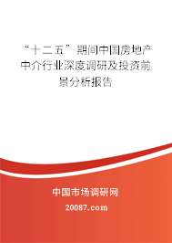 “十二五”期间中国房地产中介行业深度调研及投资前景分析报告 “十二五”期间中国房地产中介行业深度调研及投资前景分析报告