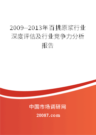 2009--2013年百挑原浆行业深度评估及行业竞争力分析报告