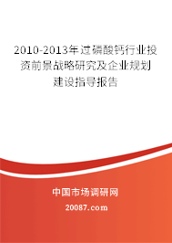 2010-2013年过磷酸钙行业投资前景战略研究及企业规划建设指导报告