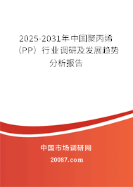 2025-2031年中国聚丙烯（PP）行业调研及发展趋势分析报告