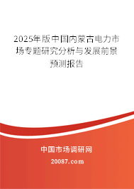 2025年版中国内蒙古电力市场专题研究分析与发展前景预测报告