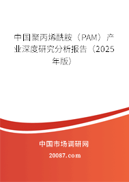 中国聚丙烯酰胺（PAM）产业深度研究分析报告（2025年版）